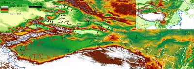 Phylogeography Reveals Geographic and Environmental Factors Driving Genetic Differentiation of Populus sect. Turanga in Northwest China